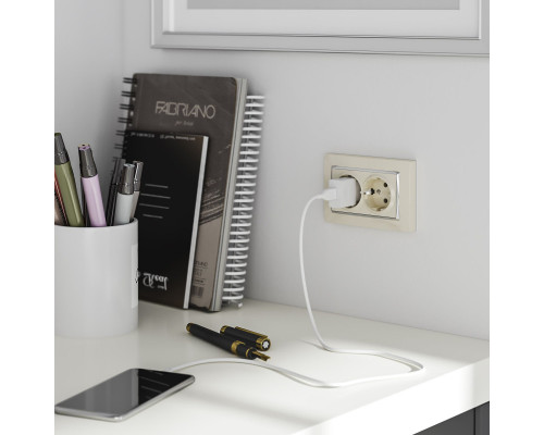 Купить Розетка Werkel W1172003| VIVID-LIGHT.RU