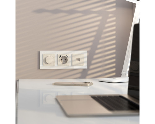 Купить Розетка Werkel W1182013| VIVID-LIGHT.RU