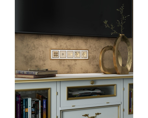 Купить Розетка Werkel W1185011| VIVID-LIGHT.RU