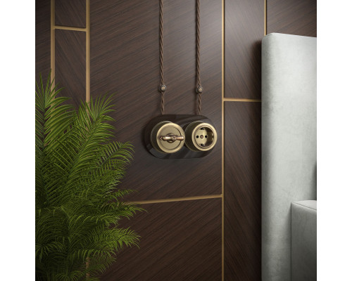 Сделать заказ Розетка Werkel W5771012| VIVID-LIGHT.RU