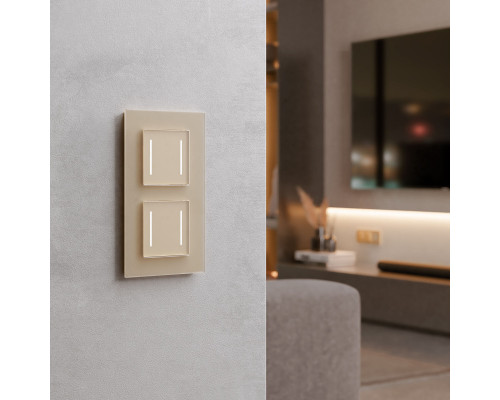 Сделать заказ Выключатель Werkel W4523011| VIVID-LIGHT.RU