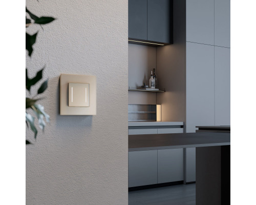 Сделать заказ Выключатель Werkel W4523011| VIVID-LIGHT.RU