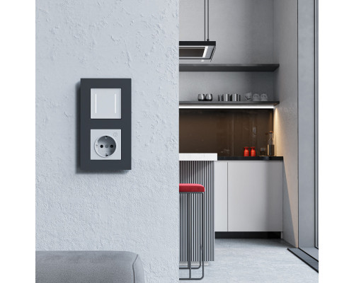 Сделать заказ Выключатель Werkel W4522001| VIVID-LIGHT.RU