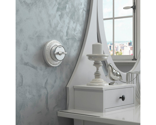 Купить Выключатель Werkel W5812054/ Переключатель одноклавишный Vintage (серебро матов| VIVID-LIGHT.RU