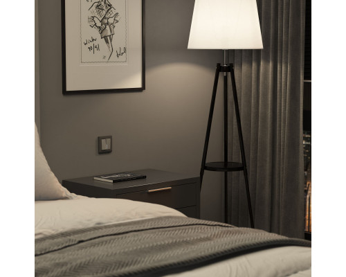 Сделать заказ Выключатель Werkel W1120165| VIVID-LIGHT.RU