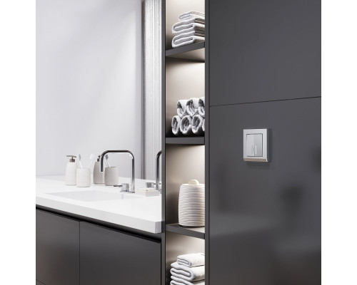 Сделать заказ Выключатель Werkel W1120165| VIVID-LIGHT.RU