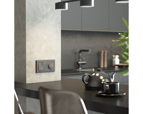 Оформить заказ Выключатель Werkel W1120164| VIVID-LIGHT.RU