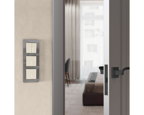 Оформить заказ Выключатель Werkel W1110162| VIVID-LIGHT.RU