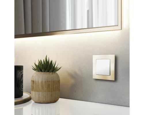 Оформить заказ Выключатель Werkel W1110061| VIVID-LIGHT.RU