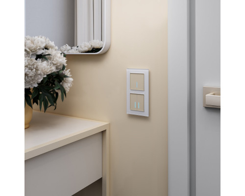 Сделать заказ Выключатель Werkel W4510011| VIVID-LIGHT.RU