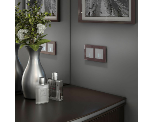 Сделать заказ Выключатель Werkel W4520006| VIVID-LIGHT.RU