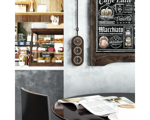 Сделать заказ Выключатель Werkel W5812052| VIVID-LIGHT.RU