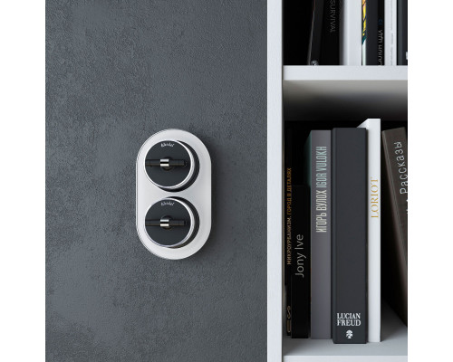 Заказать Выключатель Werkel W5812051| VIVID-LIGHT.RU