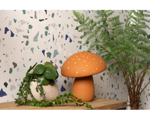 Сделать заказ Детская настольная лампа LUCIDE 13539/01/44| VIVID-LIGHT.RU