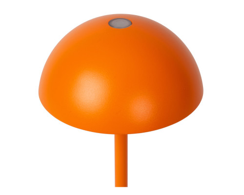 Сделать заказ Детская настольная лампа LUCIDE 15500/02/53| VIVID-LIGHT.RU