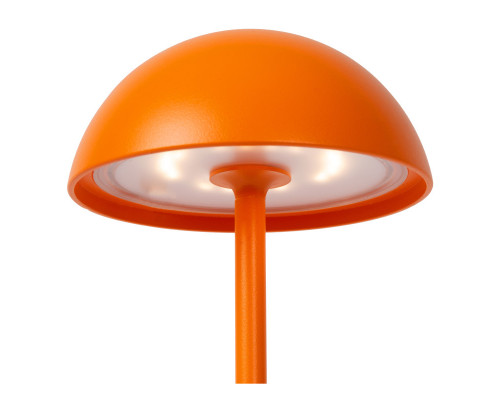 Сделать заказ Детская настольная лампа LUCIDE 15500/02/53| VIVID-LIGHT.RU