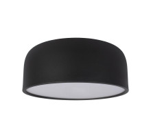 Детский светильник LOFT IT 10201/350 Black