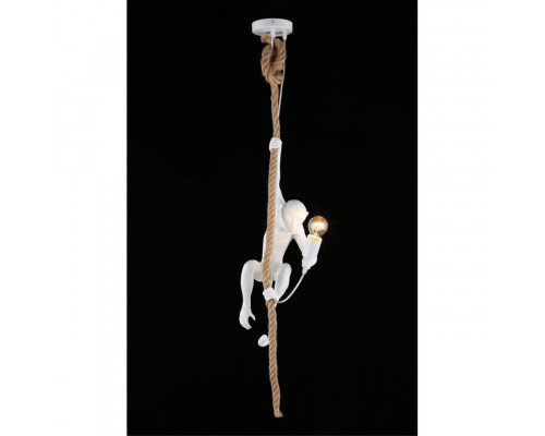 Заказать Детский светильник APLOYT APL.309.06.01| VIVID-LIGHT.RU