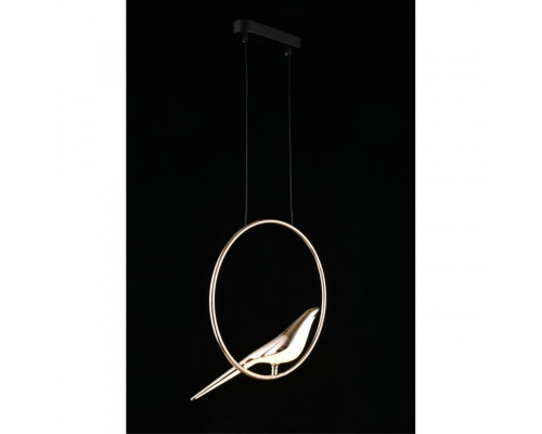 Сделать заказ Детский светильник APLOYT APL.822.06.10| VIVID-LIGHT.RU