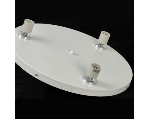 Оформить заказ Детский светильник Lussole LSP-8904| VIVID-LIGHT.RU