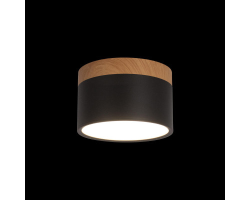 Сделать заказ Детский светильник LOFT IT 10162 Black| VIVID-LIGHT.RU