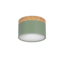 Детский точечный светильник LOFT IT 10162 Green