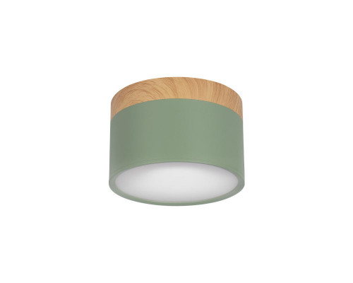 Купить Детский точечный светильник LOFT IT 10162 Green| VIVID-LIGHT.RU