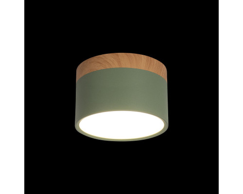 Купить Детский точечный светильник LOFT IT 10162 Green| VIVID-LIGHT.RU