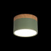 Купить Детский точечный светильник LOFT IT 10162 Green| VIVID-LIGHT.RU