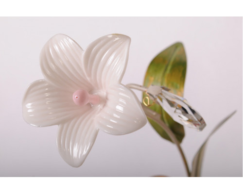 Заказать Бра Abrasax STY40032/1В| VIVID-LIGHT.RU