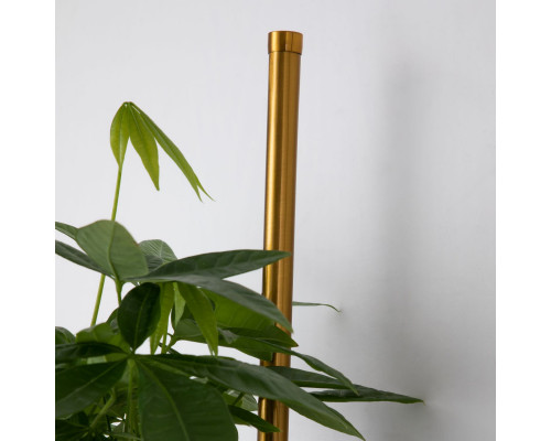 Сделать заказ Бра Favourite 4050-2W| VIVID-LIGHT.RU