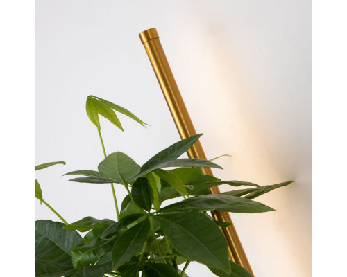 Сделать заказ Бра Favourite 4050-2W| VIVID-LIGHT.RU