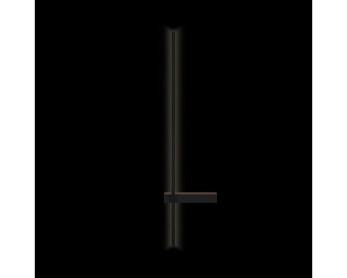 Сделать заказ Бра LOFT IT 10149/900 Black| VIVID-LIGHT.RU