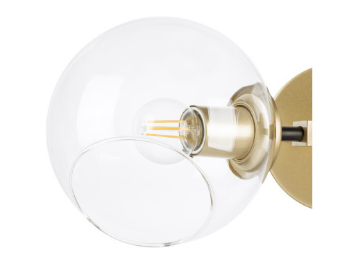 Купить Бра Lightstar 785623| VIVID-LIGHT.RU