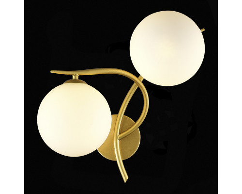 Заказать Бра Evoluce SLE2210-201-02| VIVID-LIGHT.RU