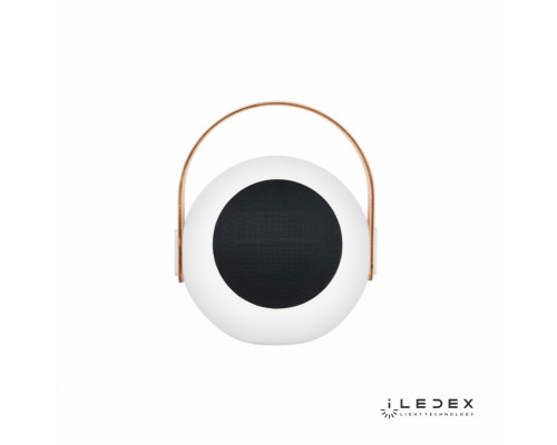 Заказать Настольная лампа iLedex EYS0970-CH WH| VIVID-LIGHT.RU