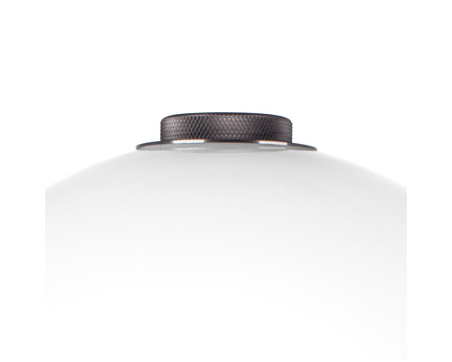 Заказать Настольная лампа Lightstar 805916| VIVID-LIGHT.RU