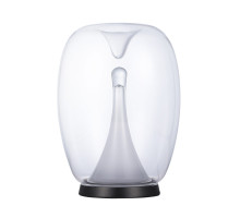 Настольная лампа Divinare 5875/09 TL-15