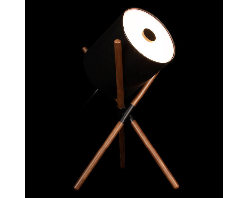 Заказать Настольная лампа LOFT IT 10245T Black| VIVID-LIGHT.RU