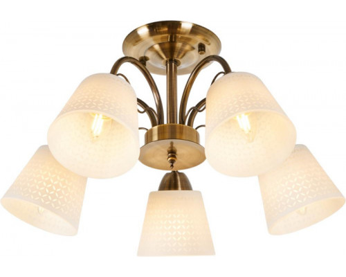 Сделать заказ Люстра на штанге MyFar MR1471-5C| VIVID-LIGHT.RU