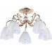 Купить Люстра на штанге MyFar MR1661-5C| VIVID-LIGHT.RU