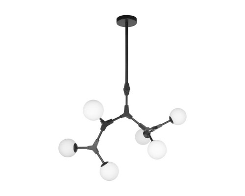Оформить заказ Люстра на штанге LOFT IT 10191/6 Black| VIVID-LIGHT.RU
