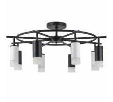 Люстра на штанге Lightstar LR7183743641