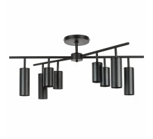 Люстра на штанге Lightstar LR728374874