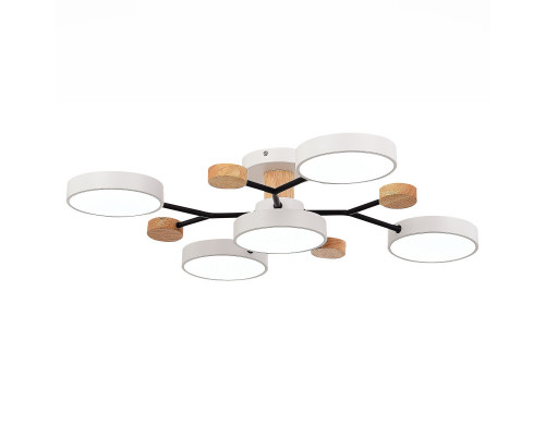 Заказать Люстра на штанге Evoluce SLE6006-502-05| VIVID-LIGHT.RU