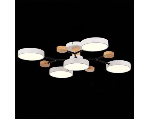 Заказать Люстра на штанге Evoluce SLE6006-502-05| VIVID-LIGHT.RU