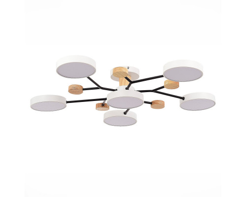 Оформить заказ Люстра на штанге Evoluce SLE6006-502-06| VIVID-LIGHT.RU