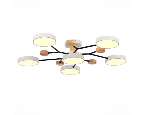 Оформить заказ Люстра на штанге Evoluce SLE6006-502-06| VIVID-LIGHT.RU