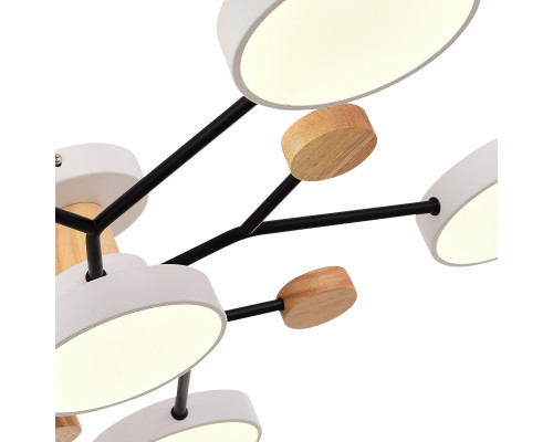 Оформить заказ Люстра на штанге Evoluce SLE6006-502-06| VIVID-LIGHT.RU