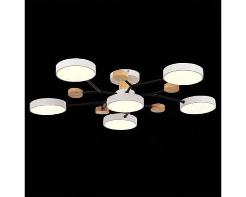 Оформить заказ Люстра на штанге Evoluce SLE6006-502-06| VIVID-LIGHT.RU